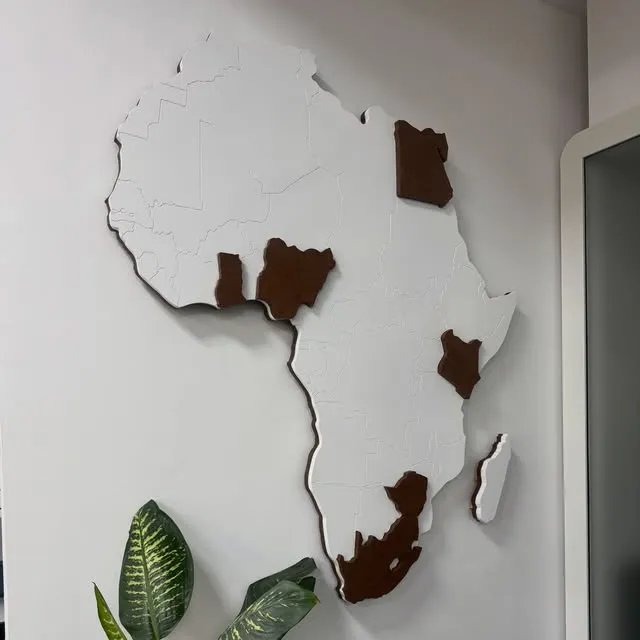 A cut-wood map of Africa mounted on an office wall, with a houseplant below.